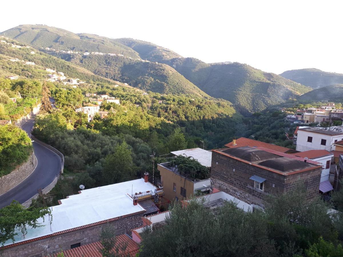 فيكو إيكوينس Hill Valley View المظهر الخارجي الصورة